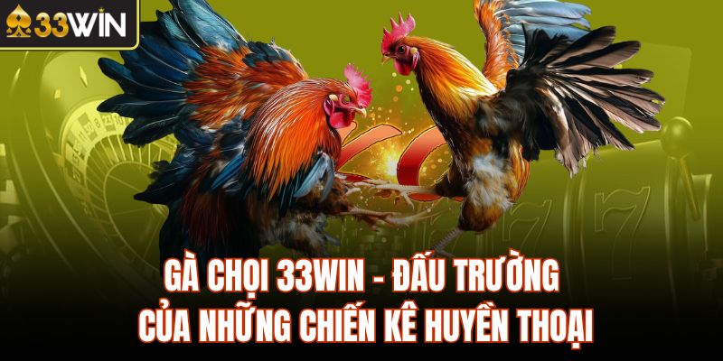 Gà Chọi 33Win - Đấu Trường Của Những Chiến Kê Huyền Thoại