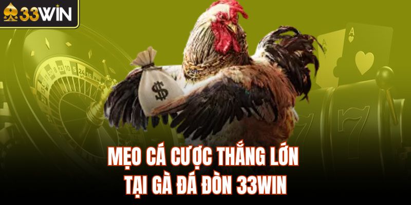 Mẹo cá cược thắng lớn tại gà đá đòn 33Win
