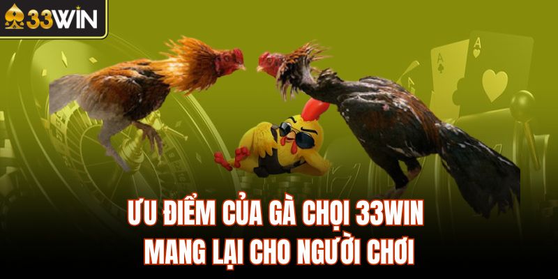 Ưu điểm của gà chọi 33Win mang lại cho người chơi